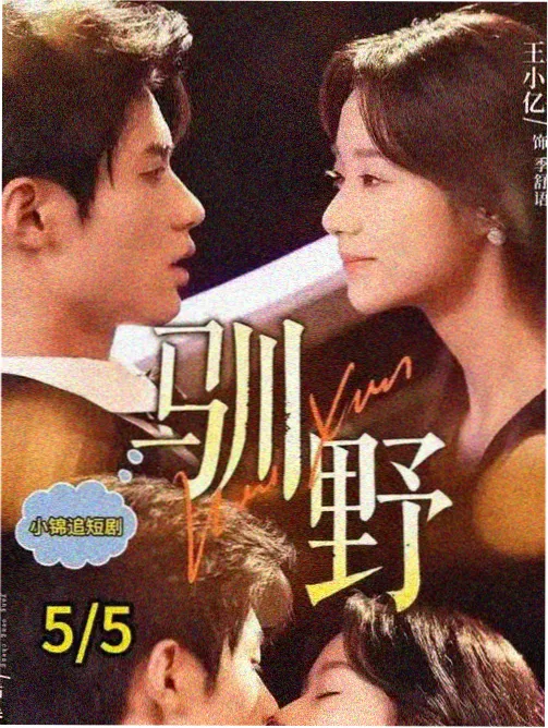 招牌街散步学封面占位图，城市招牌纪录内容